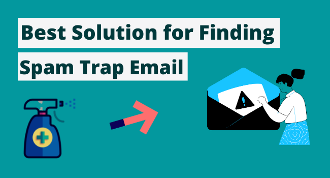spam trap cleaning service