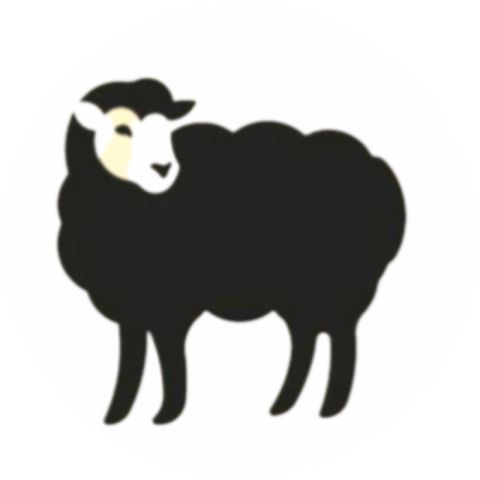 Tom Sheepshanks