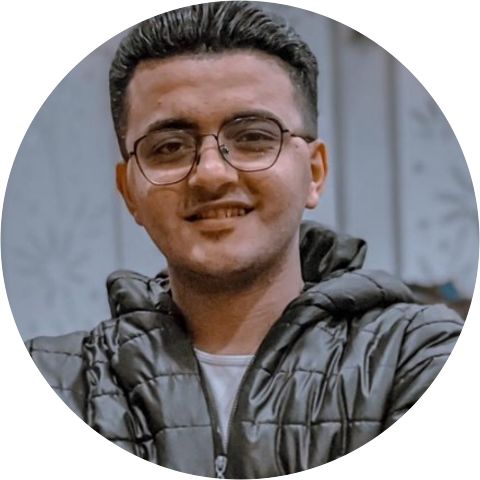 Ahmed Waled
