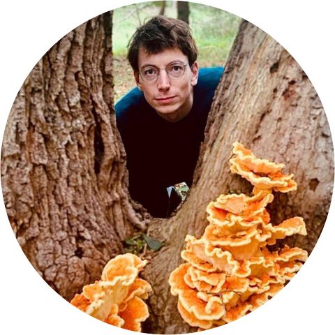 Mian Wessel