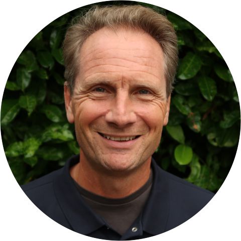 David Stead