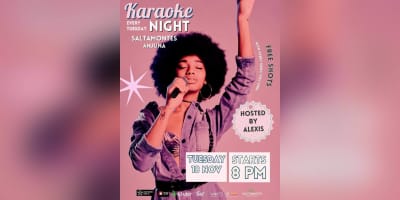 Karaoke Night | Saltamontes 