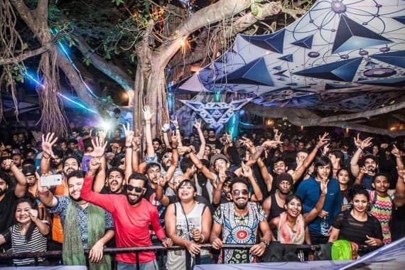 Image result for Pebble – The Jungle Lounge: