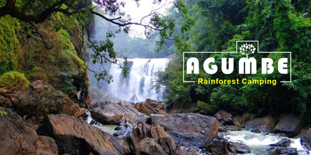 agumbe rainforest tour package