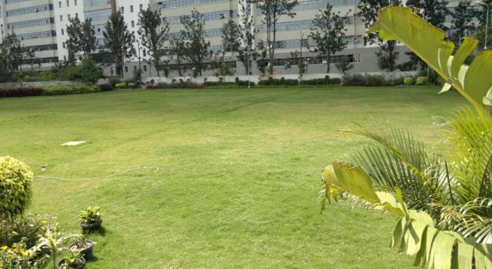 aloft whitefield holi party