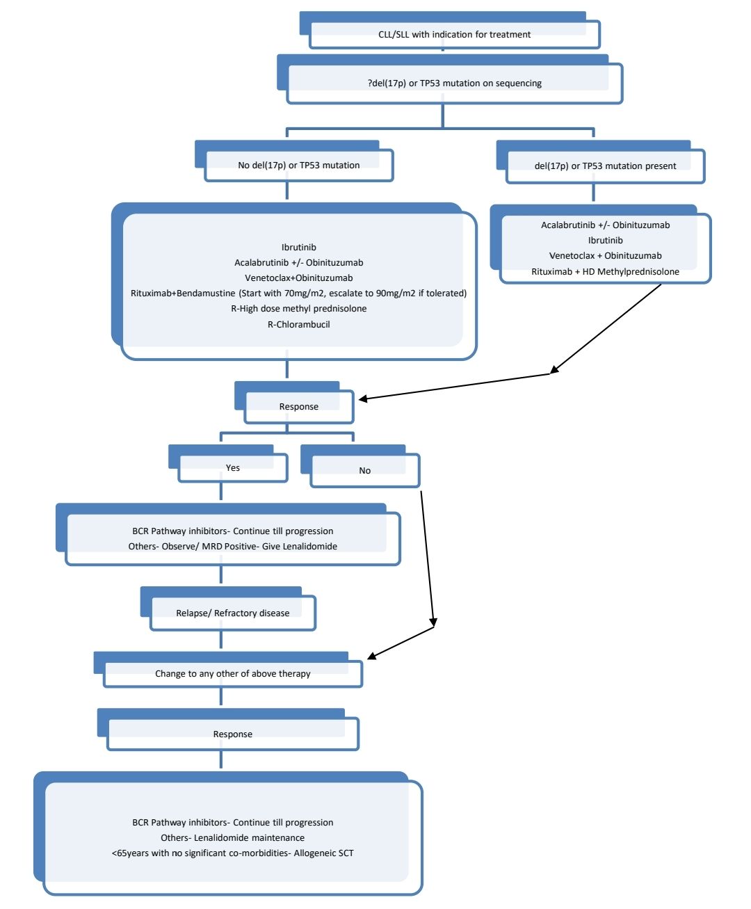 CLL Plan.jpg