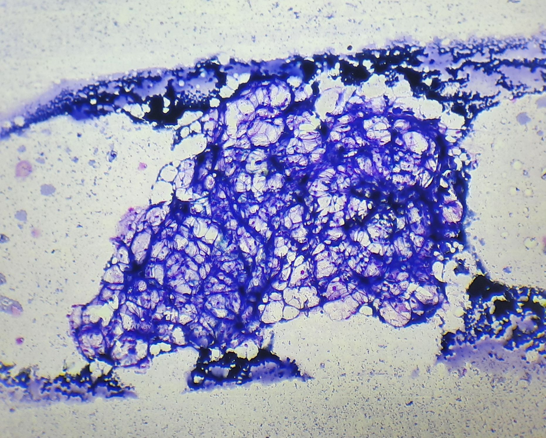 Figure 8.4.1.jpg