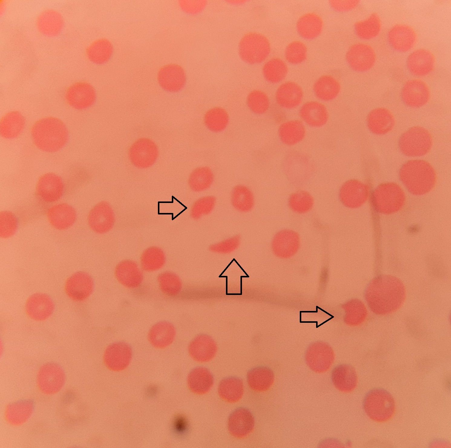 Figure 10.2.1.jpg