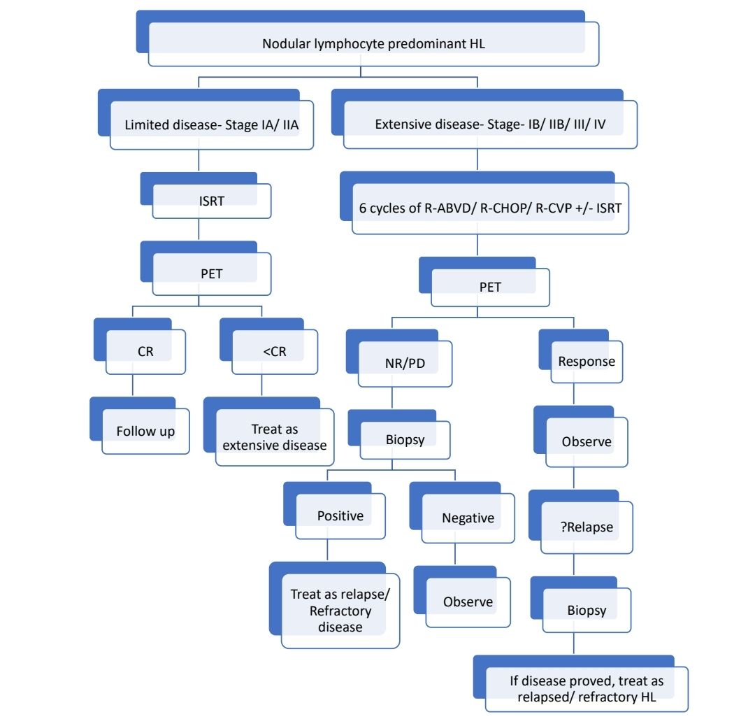 NLPHL Plan.jpg