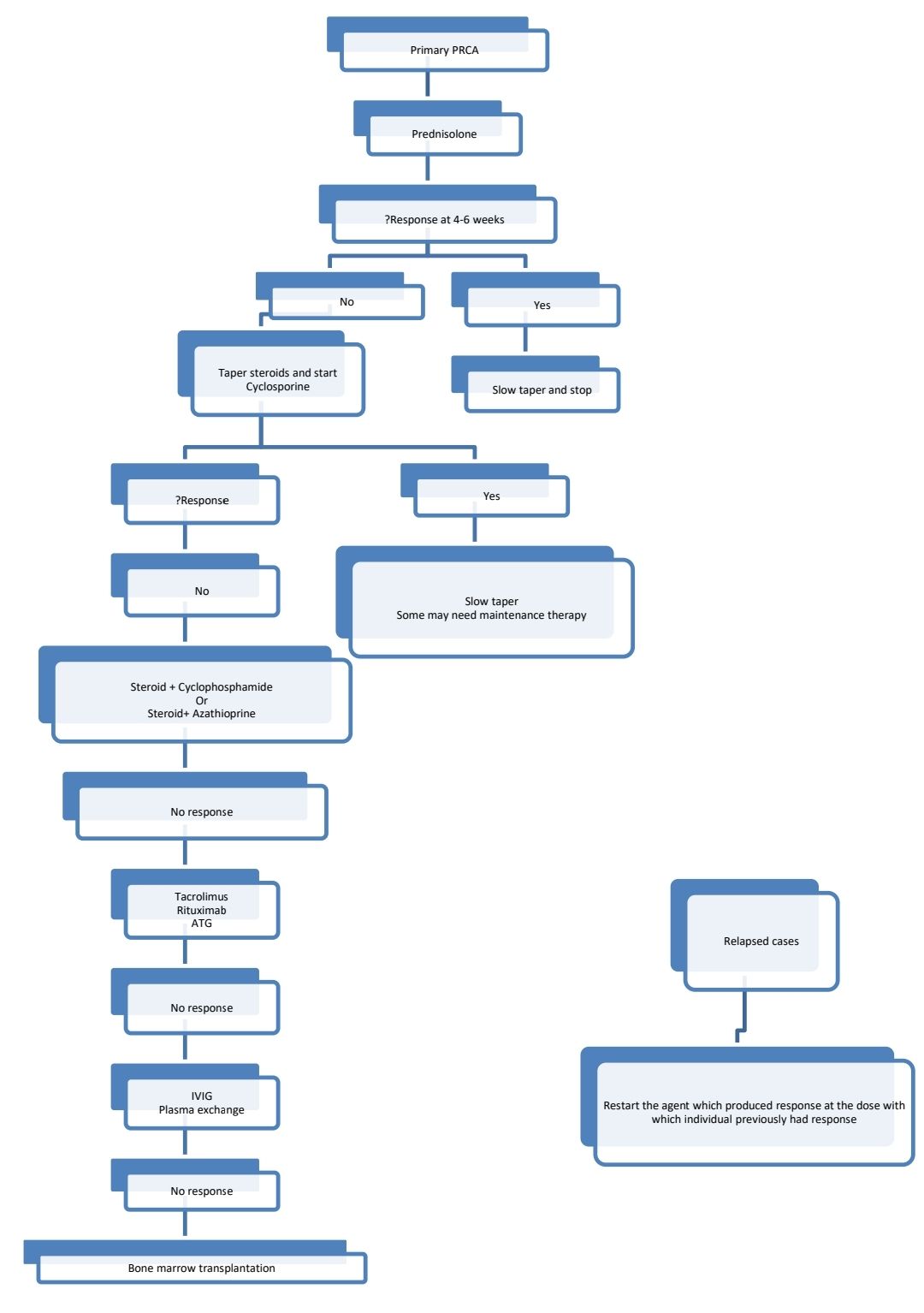 PRCA Plan.jpg