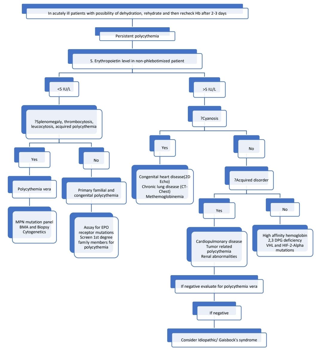 Polycythemia howitreat in