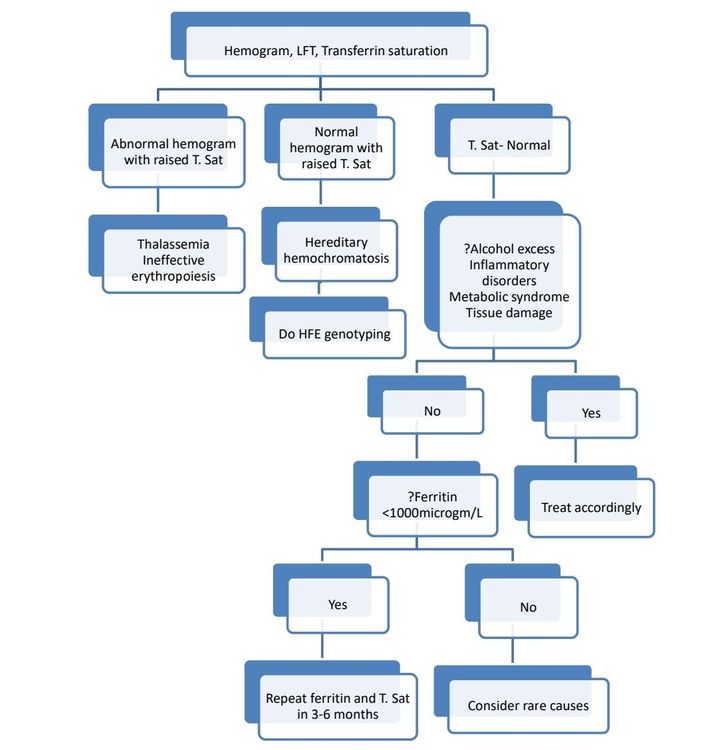 Raised Ferritin Level howitreat.in