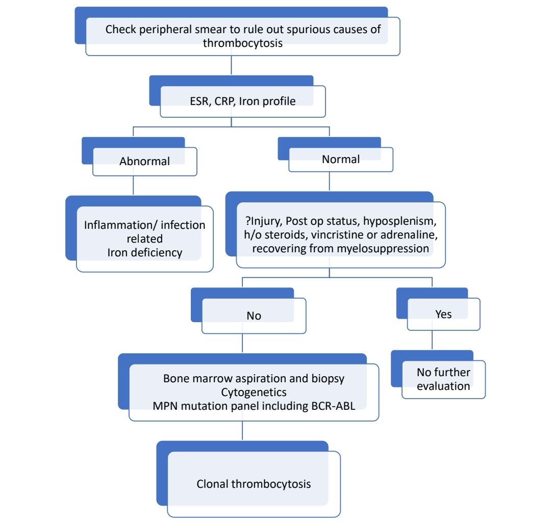 Thrombocytosis Approach.jpg