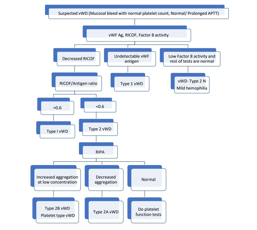 vWD Diagnosis.jpg