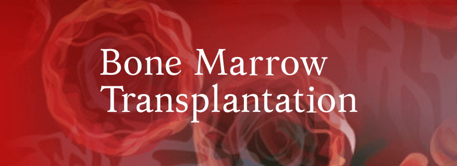 bone marrow transplantation.png