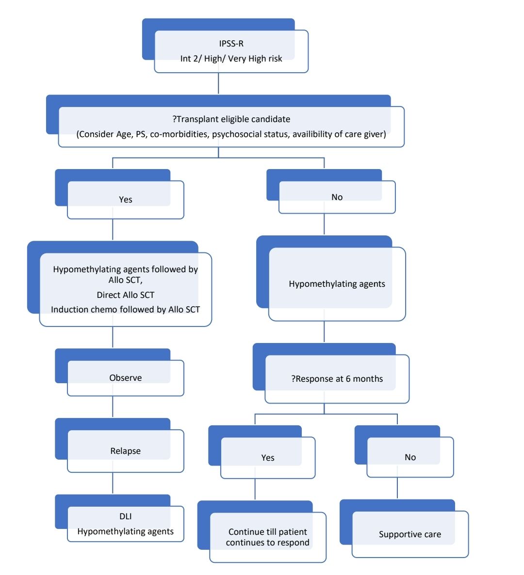 MDS 23 2.jpg