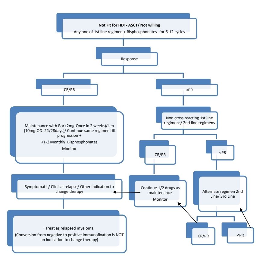 Myeloma 2 23 a.jpg