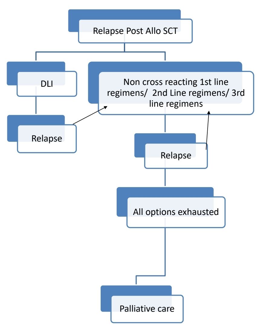 Myeloma 5 23 a.jpg