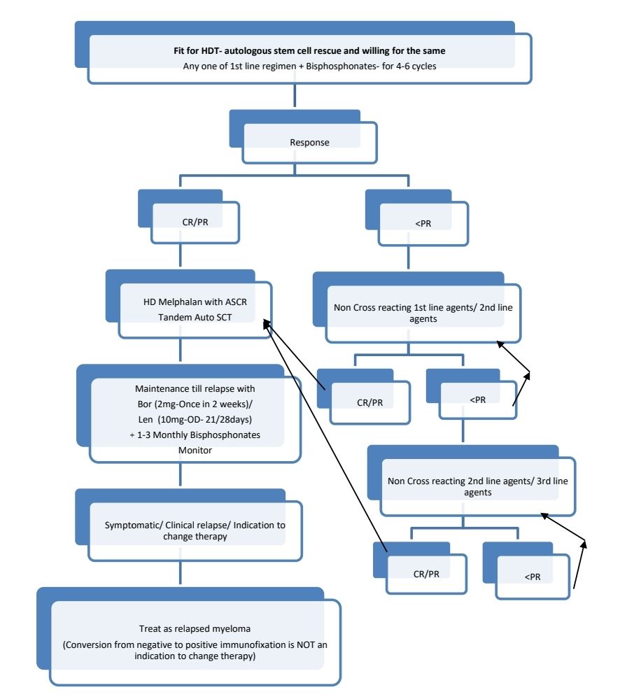 Myeloma 1 23 a.jpg