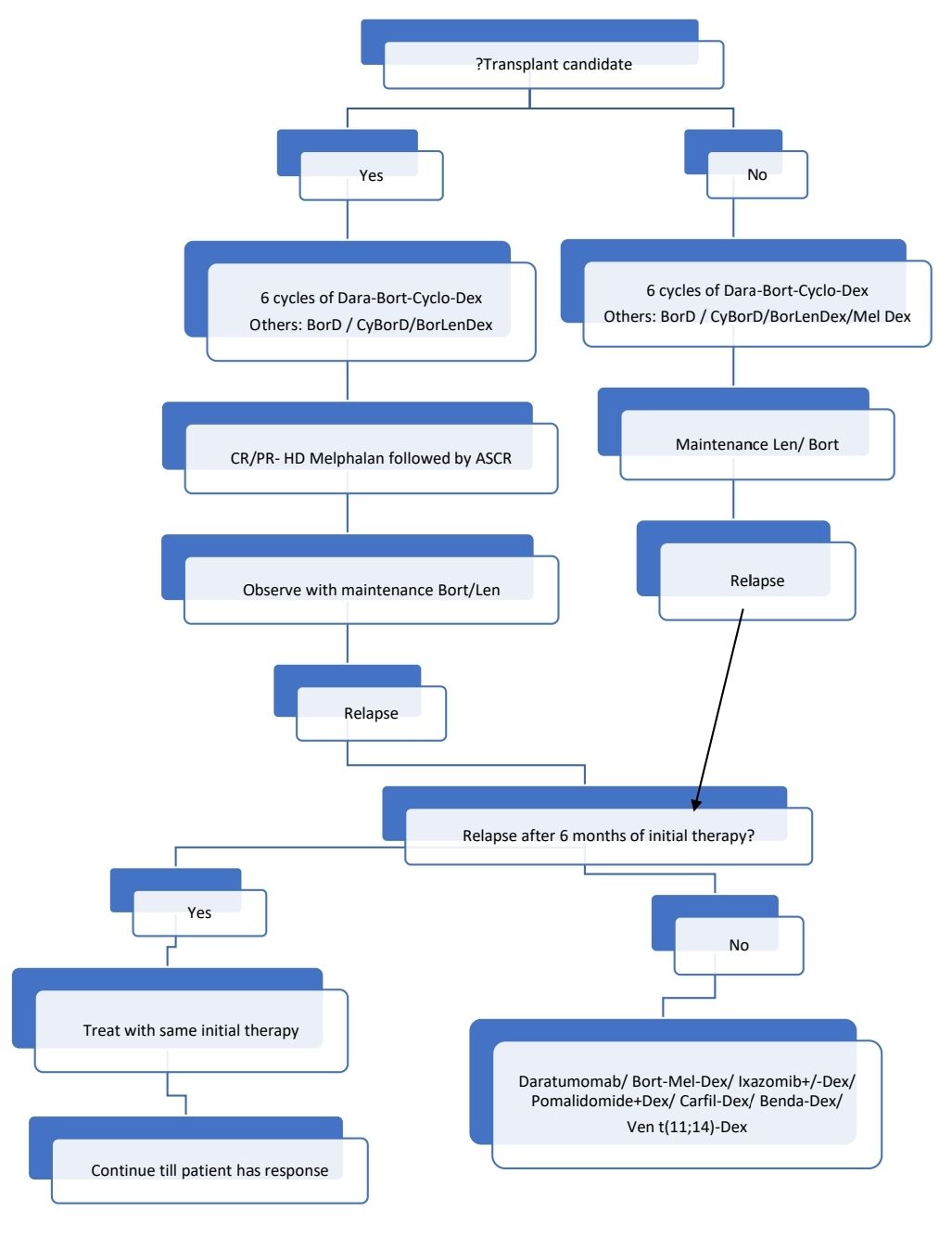 Amyloidosis 23 a.jpg