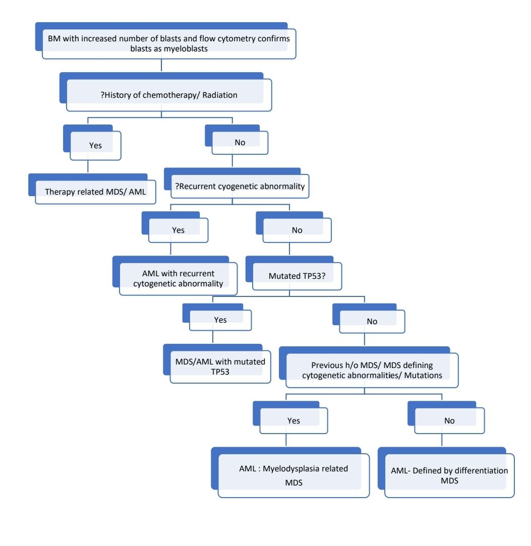 AML Diagnosis 24.jpg