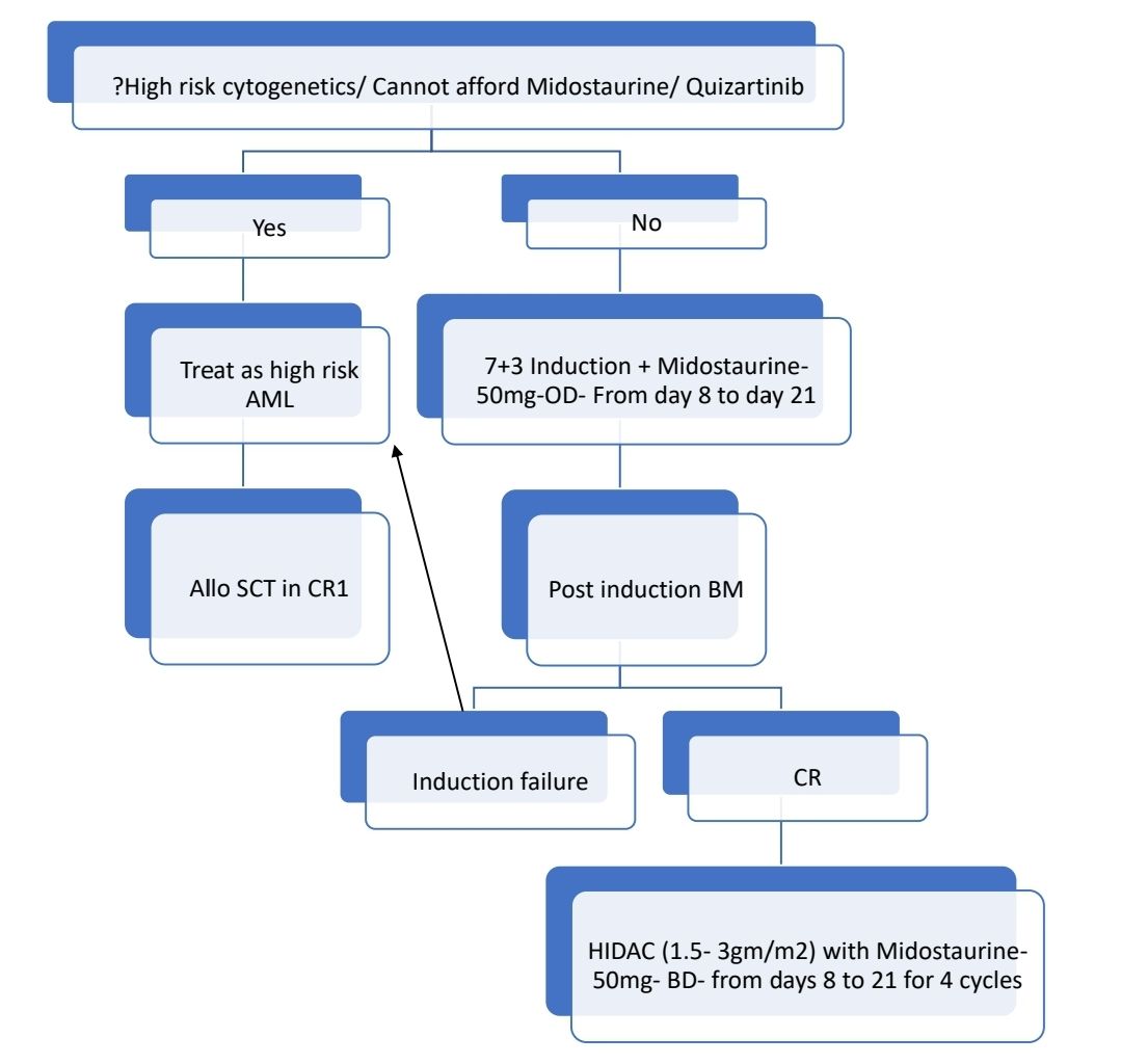 AML FLT3 24.jpg