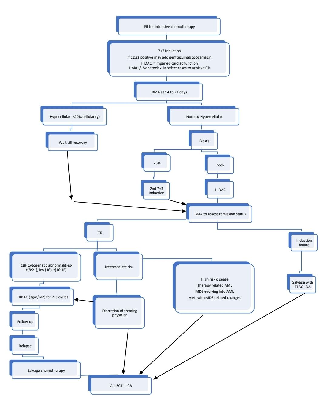 AML for fit 24.jpg