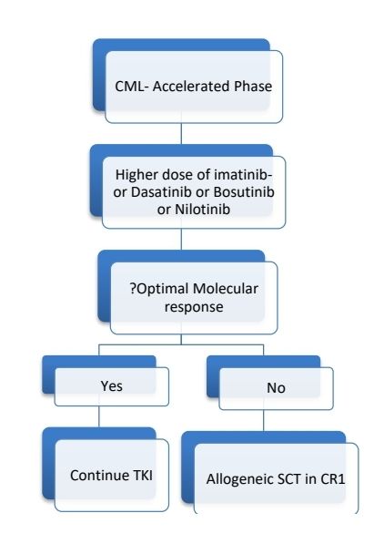 CML AP 2025.jpg
