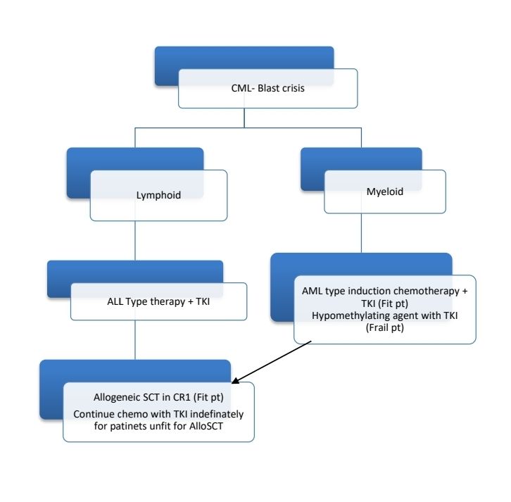 CML BP 2025.jpg