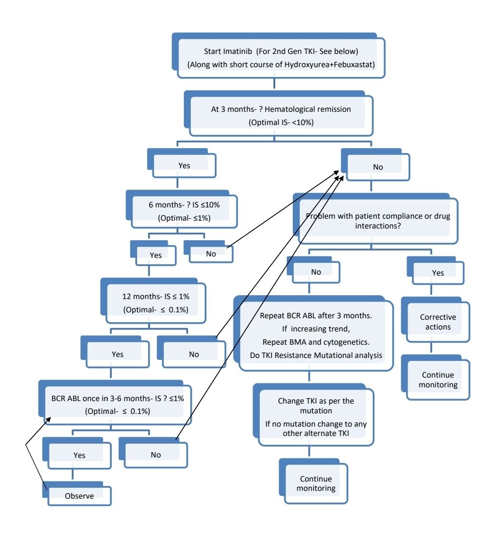 CML CP 2025.jpg