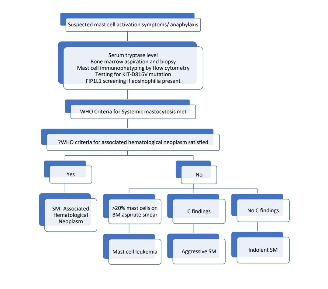 Mastocytosis 2025 Flow 1.jpg