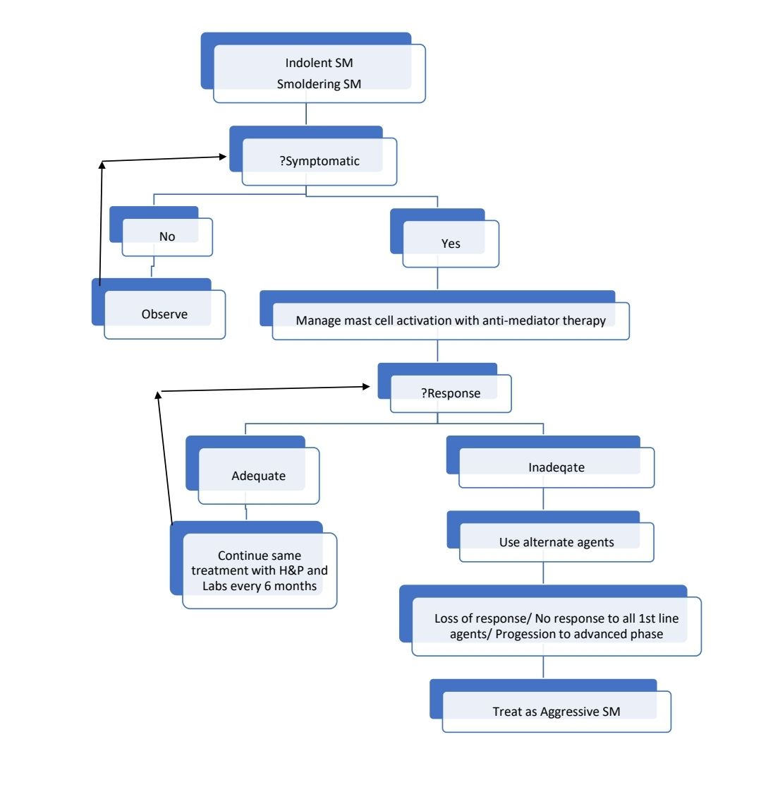Mastocytosis 2025 Flow 2.jpg