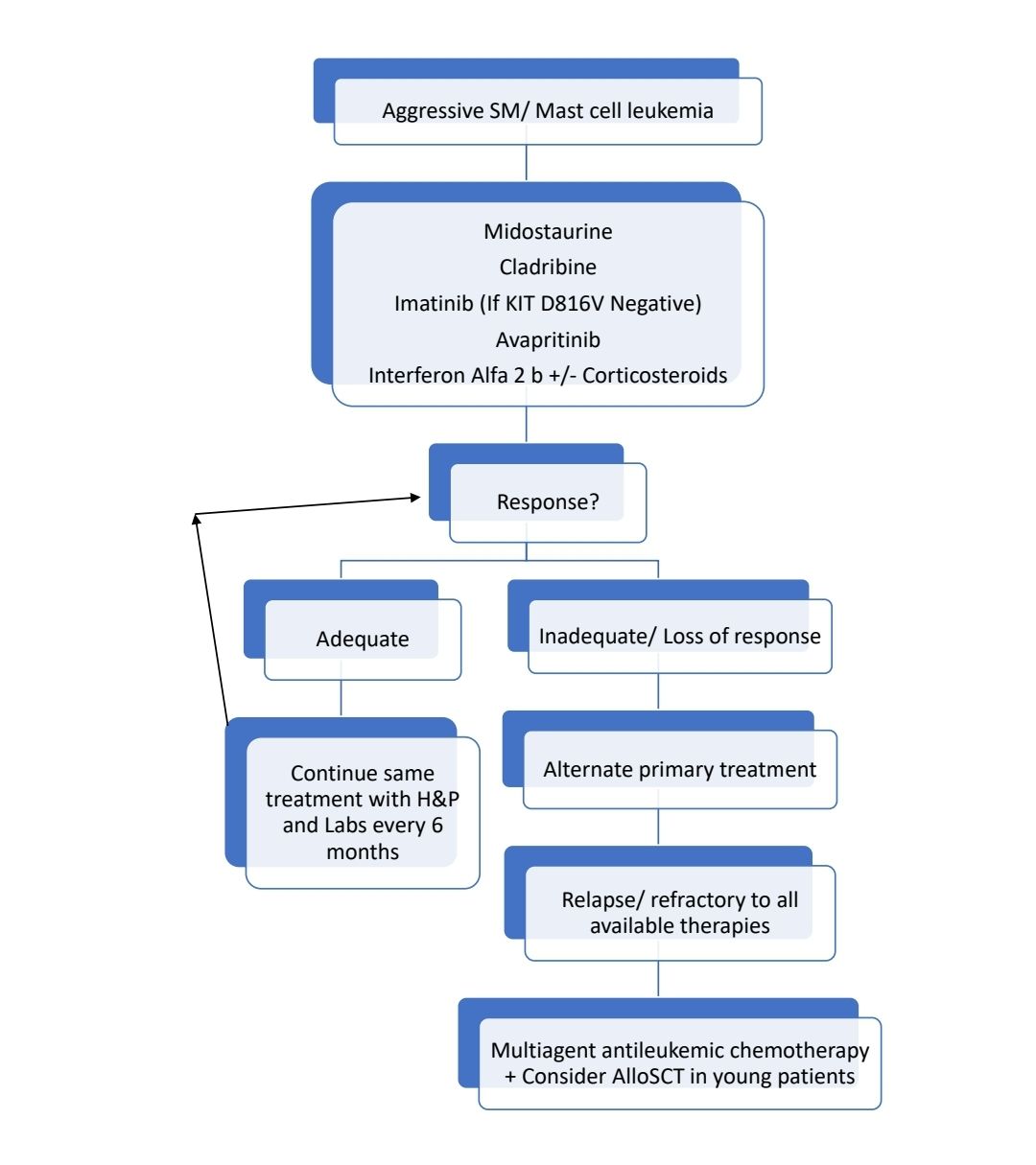 Mastocytosis 2025 Flow 3.jpg