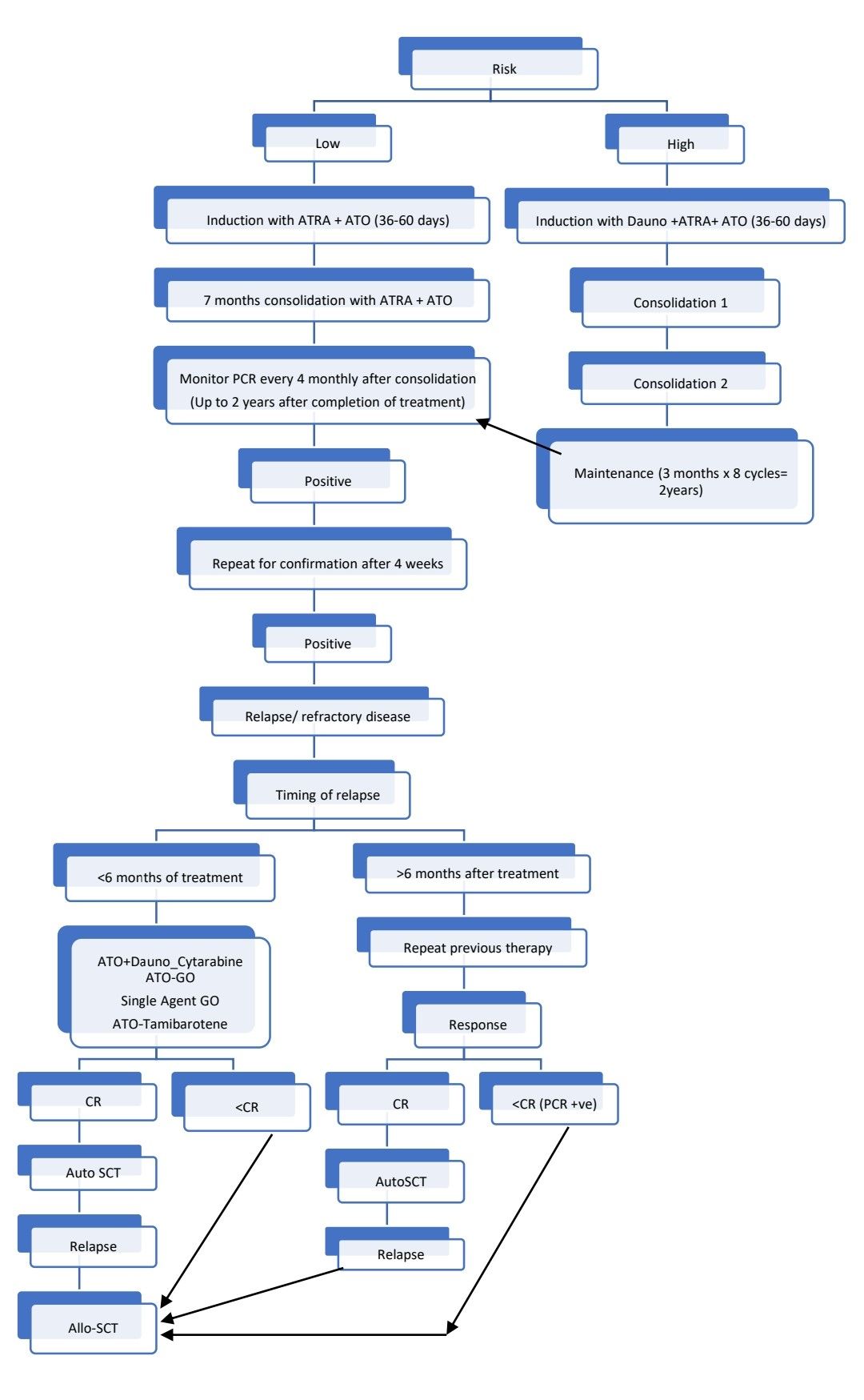 APML Plan 2025.jpg