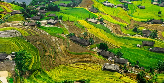 mawsynllong