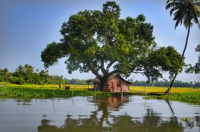 kerala