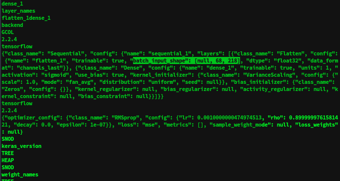 strings command output showing model config