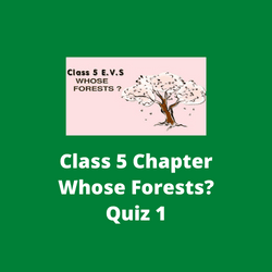 Whose Forests? EVS Chapter