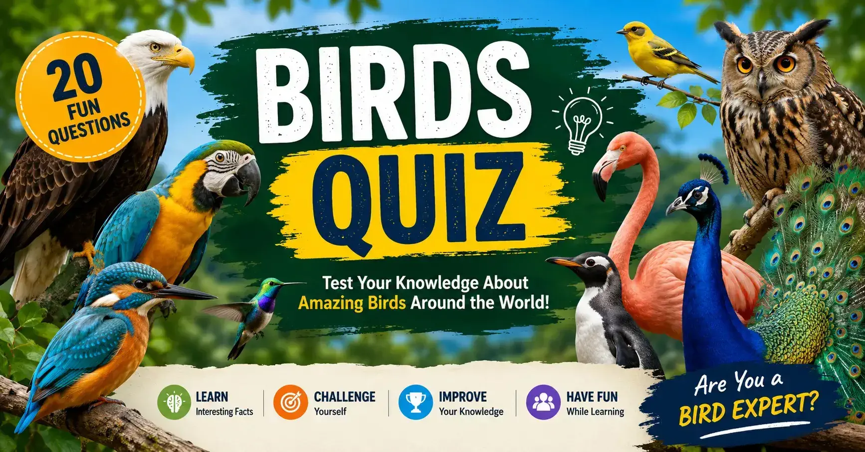 A colorful collection of birds including an eagle, owl, parrot, hummingbird, flamingo, penguin, toucan, and peacock surrounding the title "Birds Quiz". A colorful collection of birds including an eagle, owl, parrot, hummingbird, flamingo, penguin, toucan, and peacock surrounding the title "Birds Quiz".