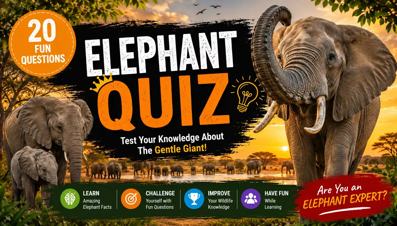 Elephant Quiz | Animal Quiz | Tiger Quiz | Lion Quiz | Wild Animal Quiz Elephant Quiz | Animal Quiz | Tiger Quiz | Lion Quiz | Wild Animal Quiz