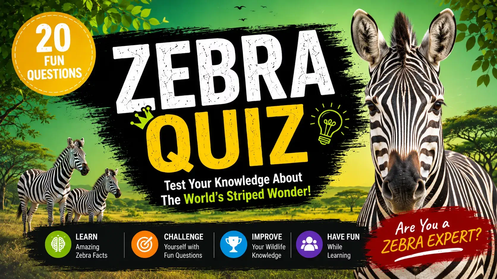 Zebra Quiz | Fun facts about Zebra | Animal Quiz Zebra Quiz | Fun facts about Zebra | Animal Quiz