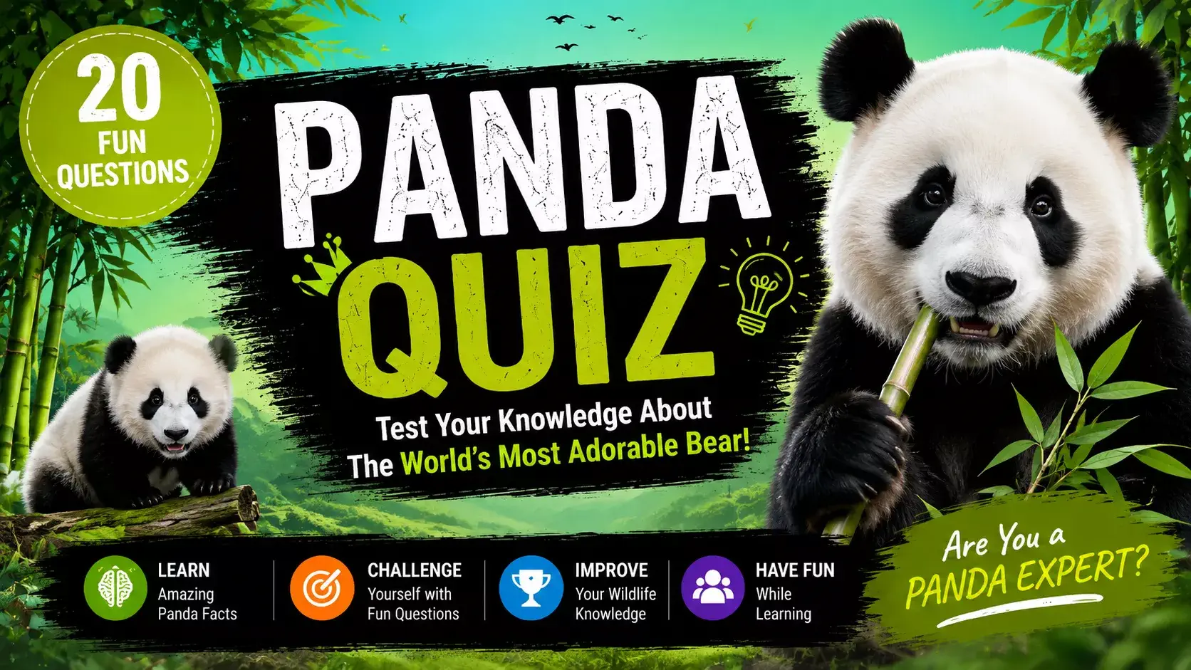 Panda Quiz | Animal Quiz Panda Quiz | Animal Quiz