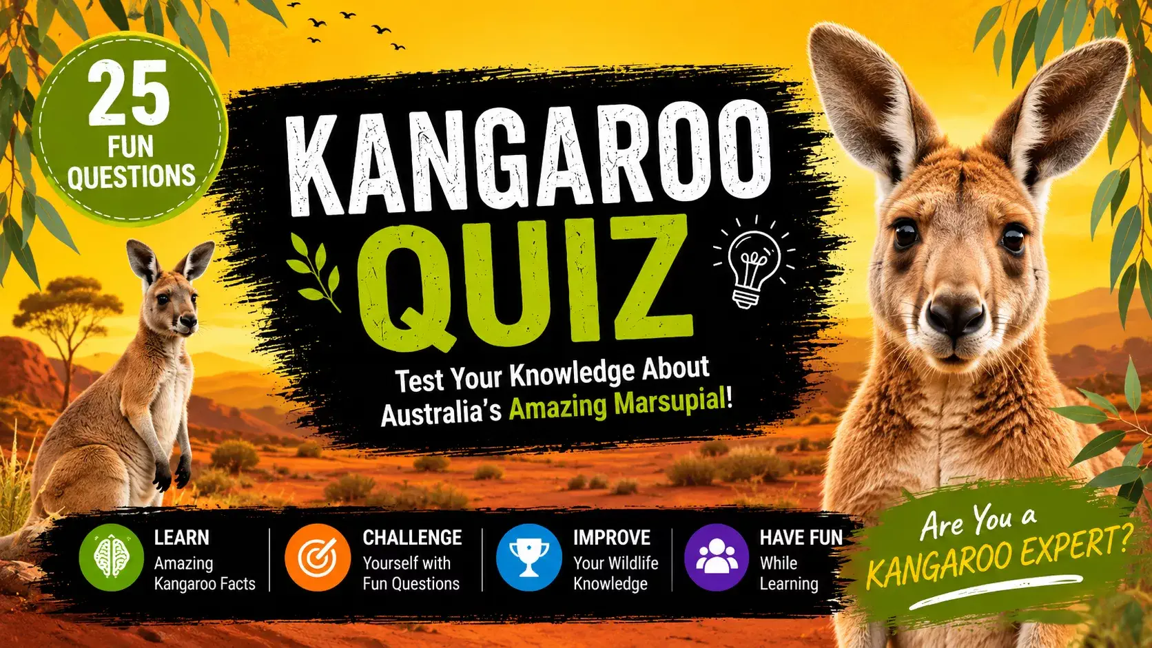 Kangaroo Quiz | Animal Quiz | Online Quiz Kangaroo Quiz | Animal Quiz | Online Quiz