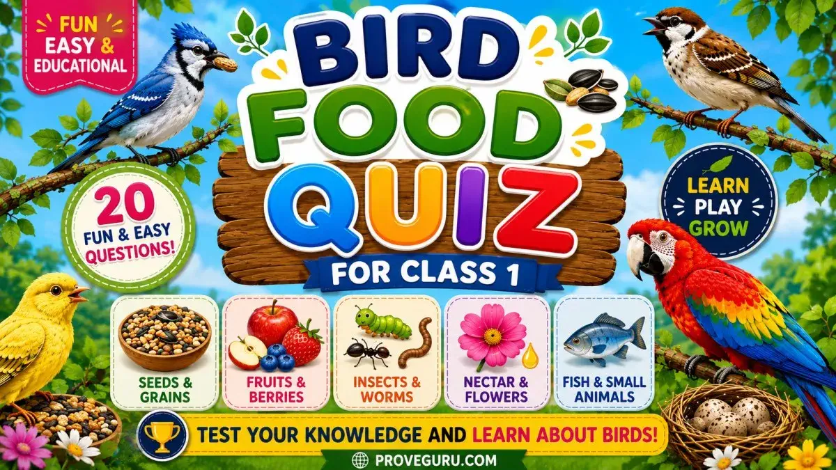 Bird Food Quiz | Bird Quiz | Quiz for class 1 Bird Food Quiz | Bird Quiz | Quiz for class 1
