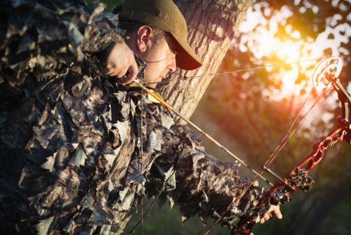 Top 10 Best Compound Bow For Hunting In October Buying Guide Saint Review