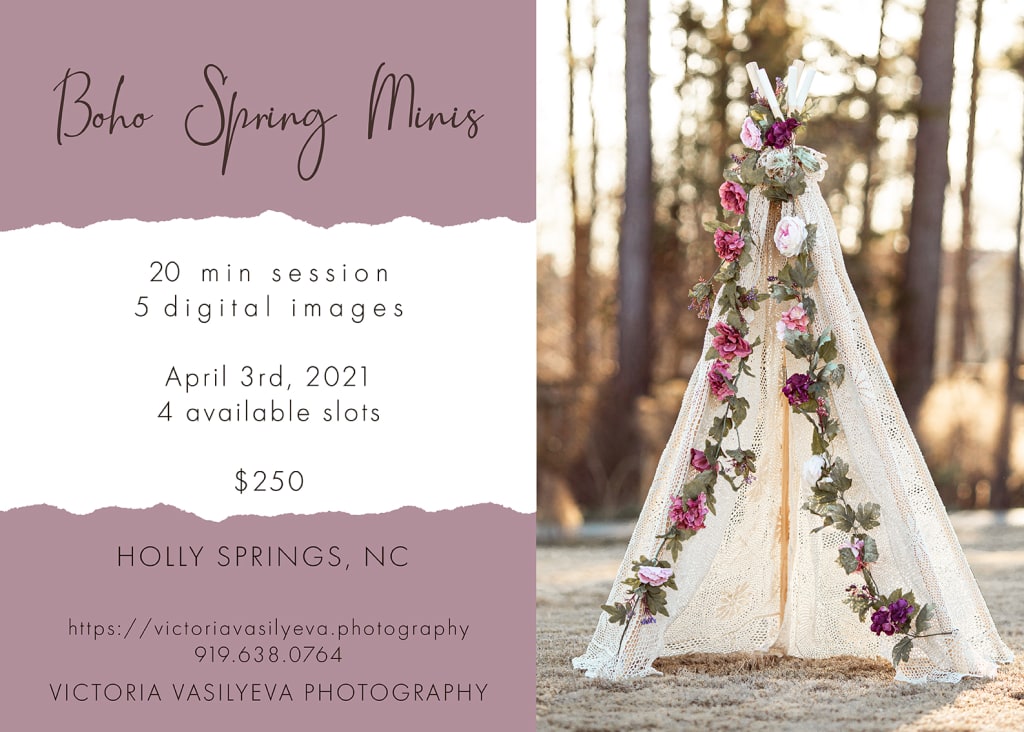 boho spring minis best maternity photo session in raleigh nc