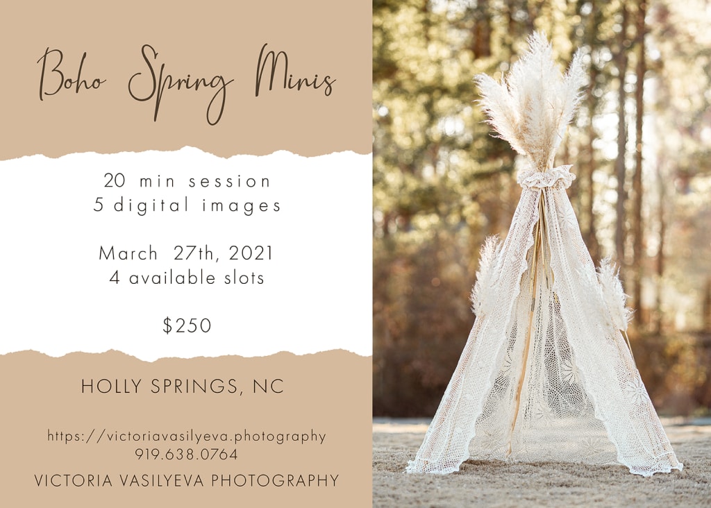 BOHO SPRING MINIS Raleigh Family Photographer