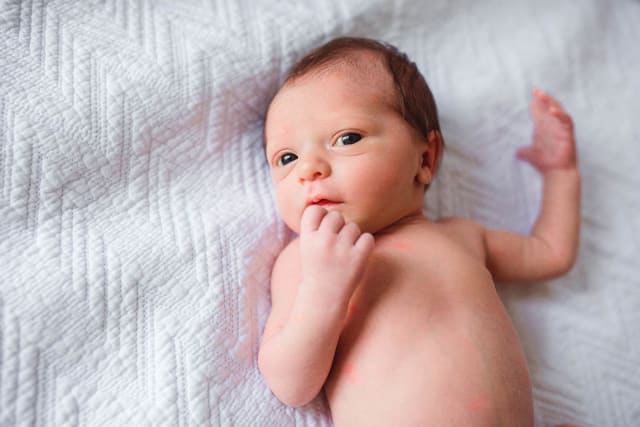 Newborn photo session raleigh nc