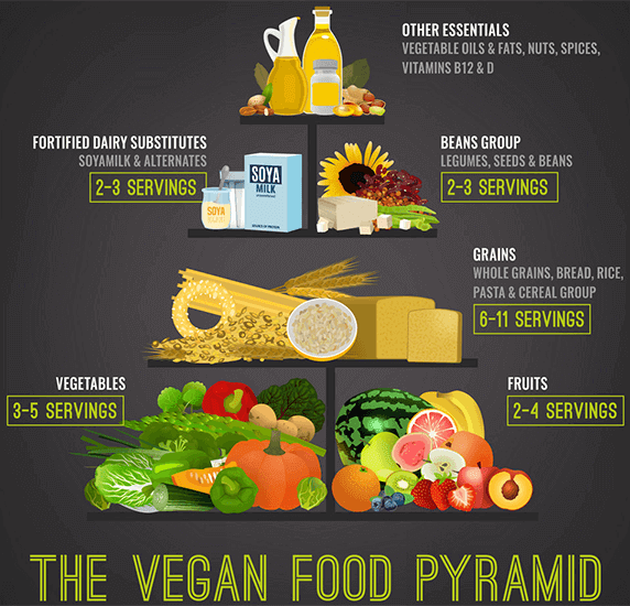 What Is A Vegan Diet? What You Should Eat And What You ...