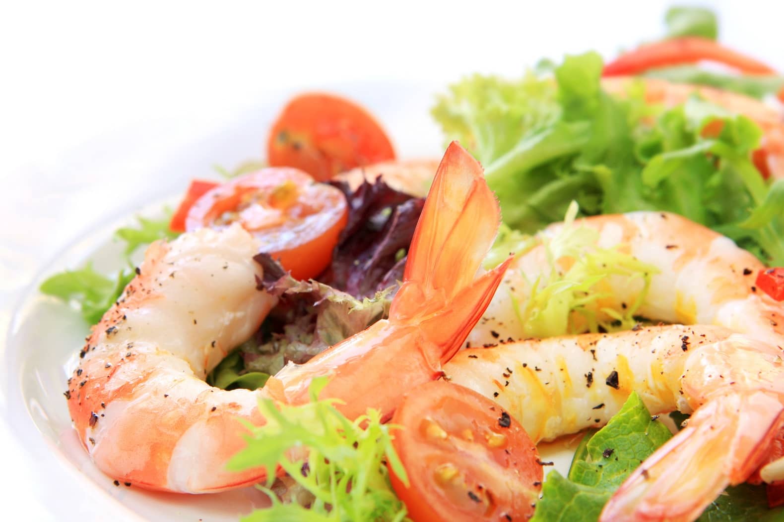 Food Catering
